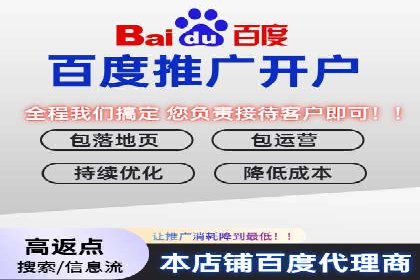 谷歌SEM广告投放的ROI优化：一家科技公司的成功经验